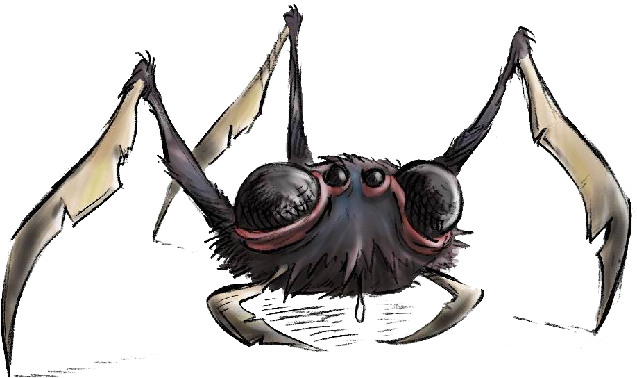 Spider - Wikia (920x560), Png Download