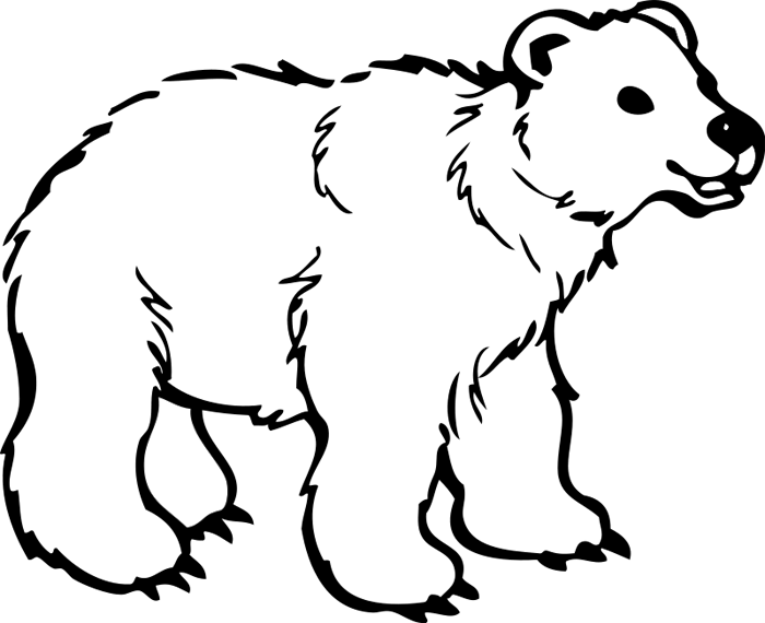 Clipart Animations White - Polar Bear Clipart Png (700x570), Png Download