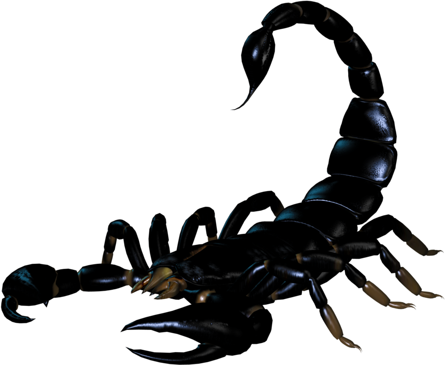 Scorpion Png (1024x768), Png Download