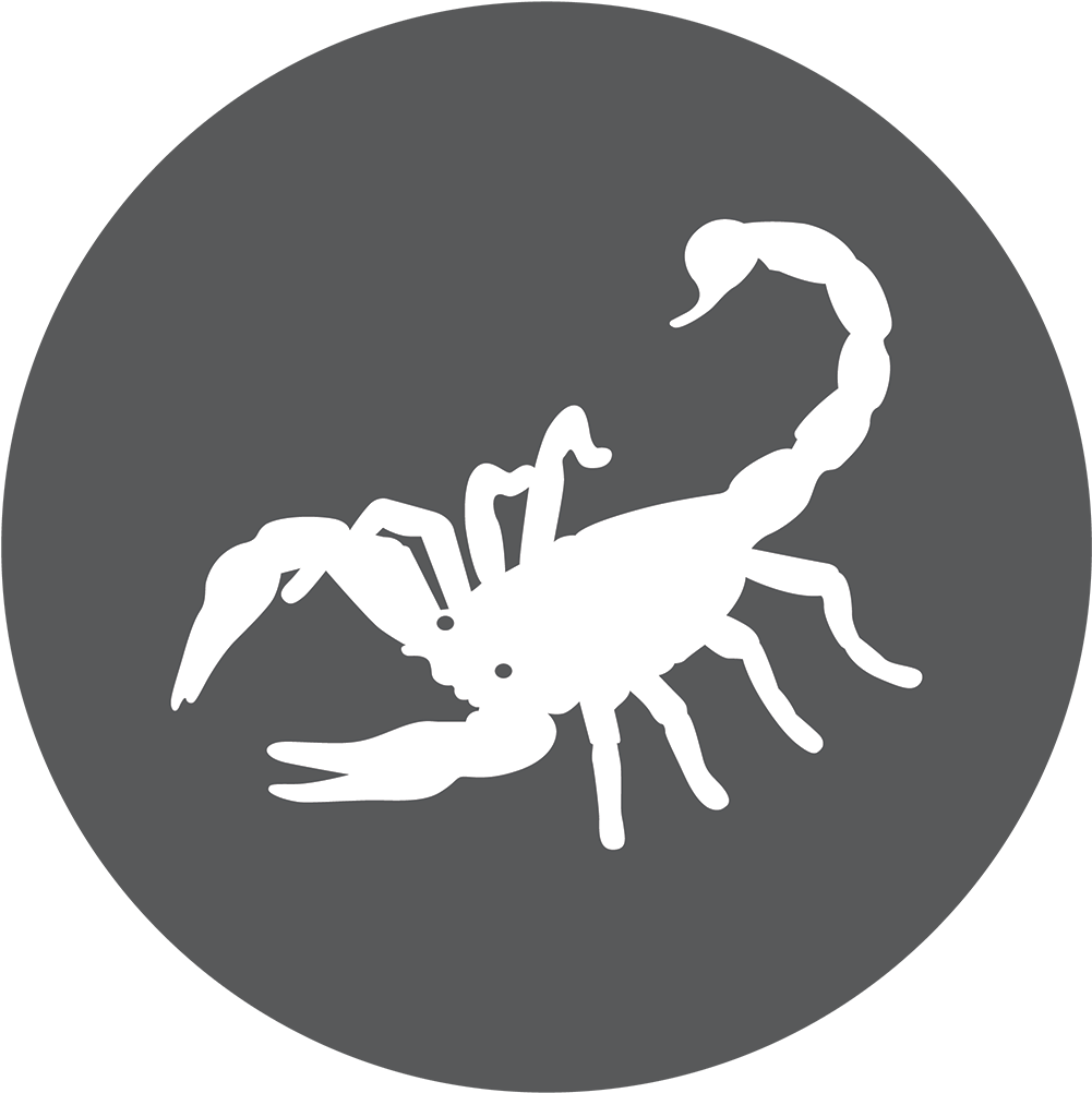 The Scorpion Brave And - Scorpio (1500x1125), Png Download