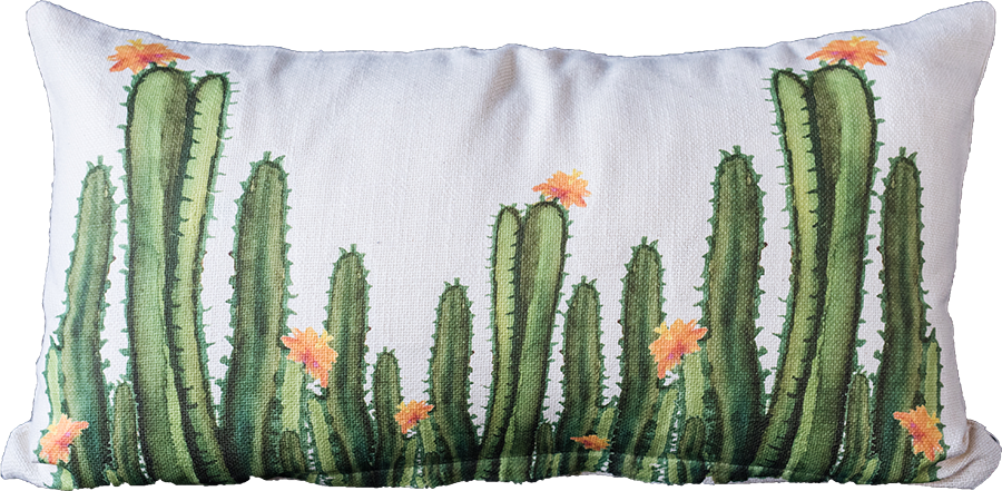 Watercolor Tall Cacti Lumbar Zip - San Pedro Cactus (900x441), Png Download