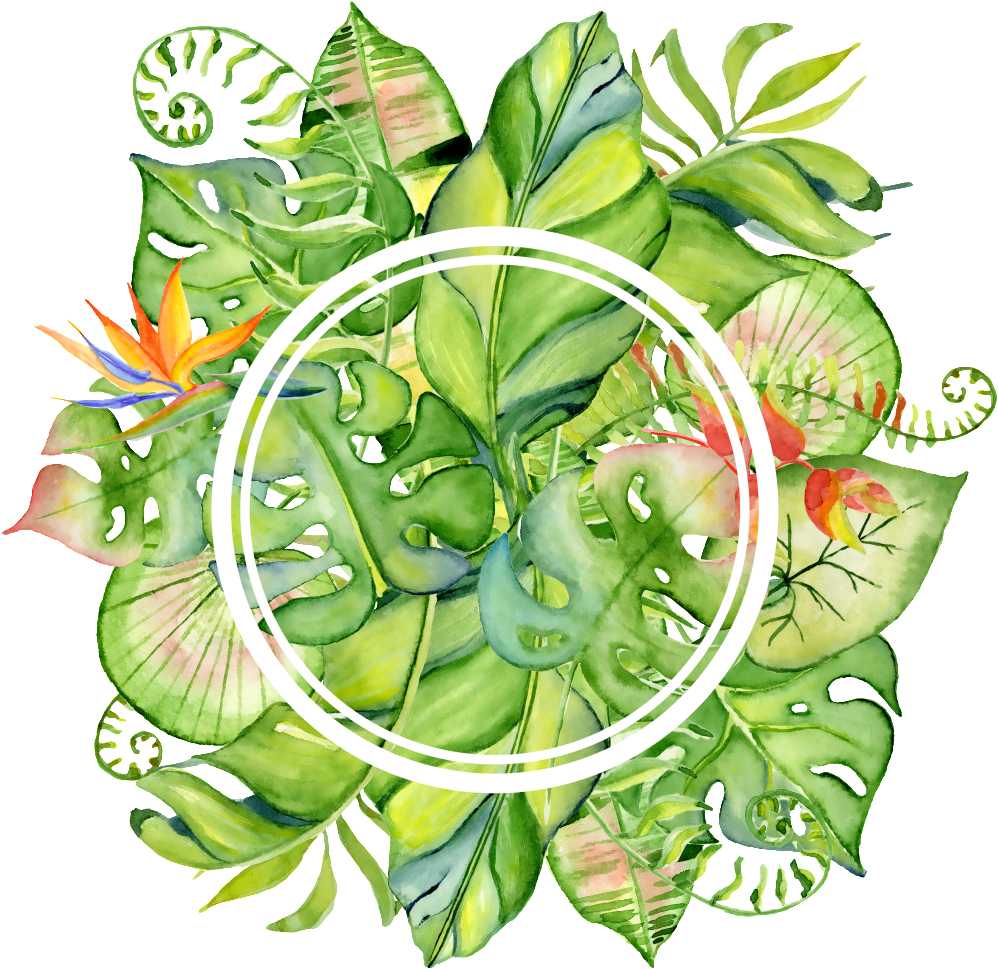 Hand Painted Bright Green Leaves Wall Png Transparent - Flamingo Tropical Drawing (1024x1024), Png Download