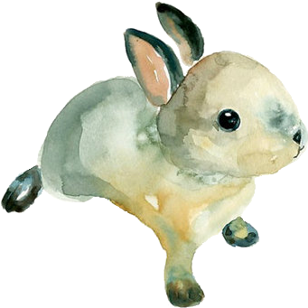Watercolor Bunny - Easy Simple Watercolor Animals (500x394), Png Download