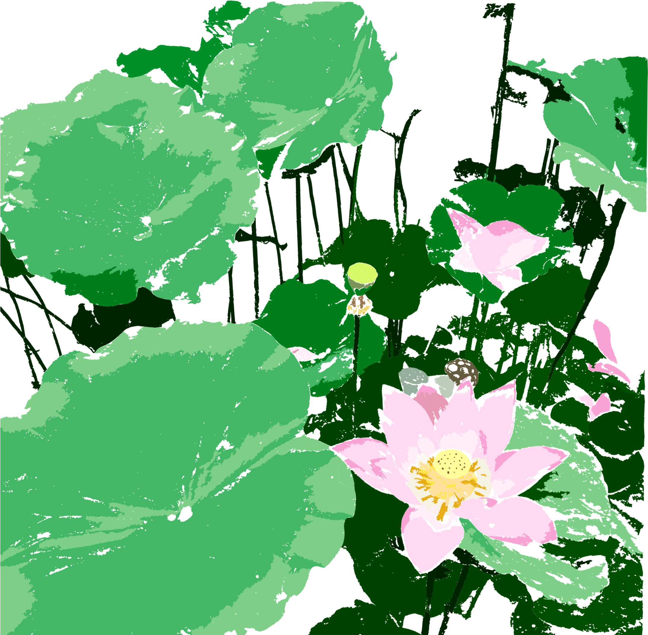 Lotus Flowers Png - Lixia (2200x2200), Png Download