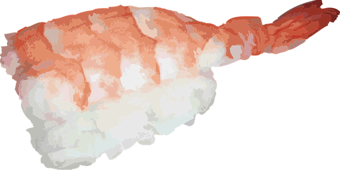 Japanese Sushi Asian Shrimp Raw Fish Food - Png Nigiri Sushi (678x340), Png Download
