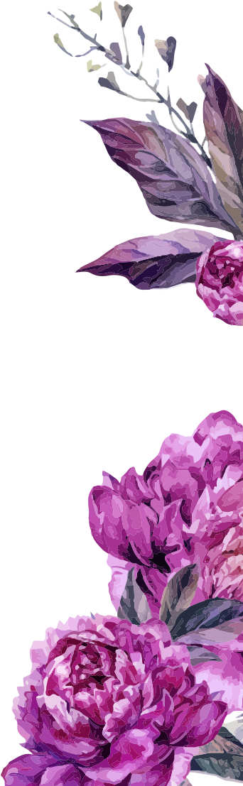 Lilac (381x1146), Png Download