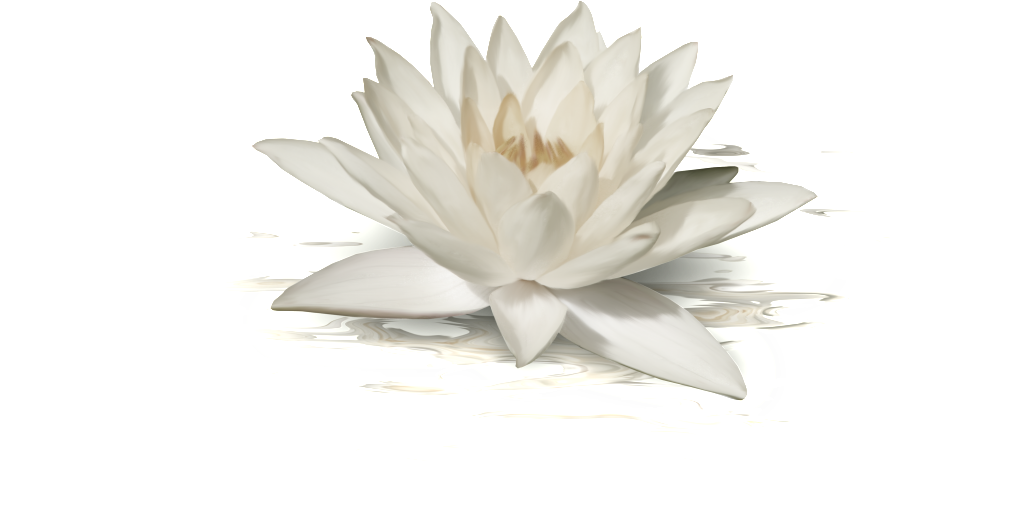 This Graphics Is White Lotus Transparent About Fashion,lotus,png - Portable Network Graphics (1024x522), Png Download