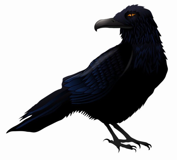 Halloween Crow Png High-quality Image - Raven Clipart Png (600x544), Png Download