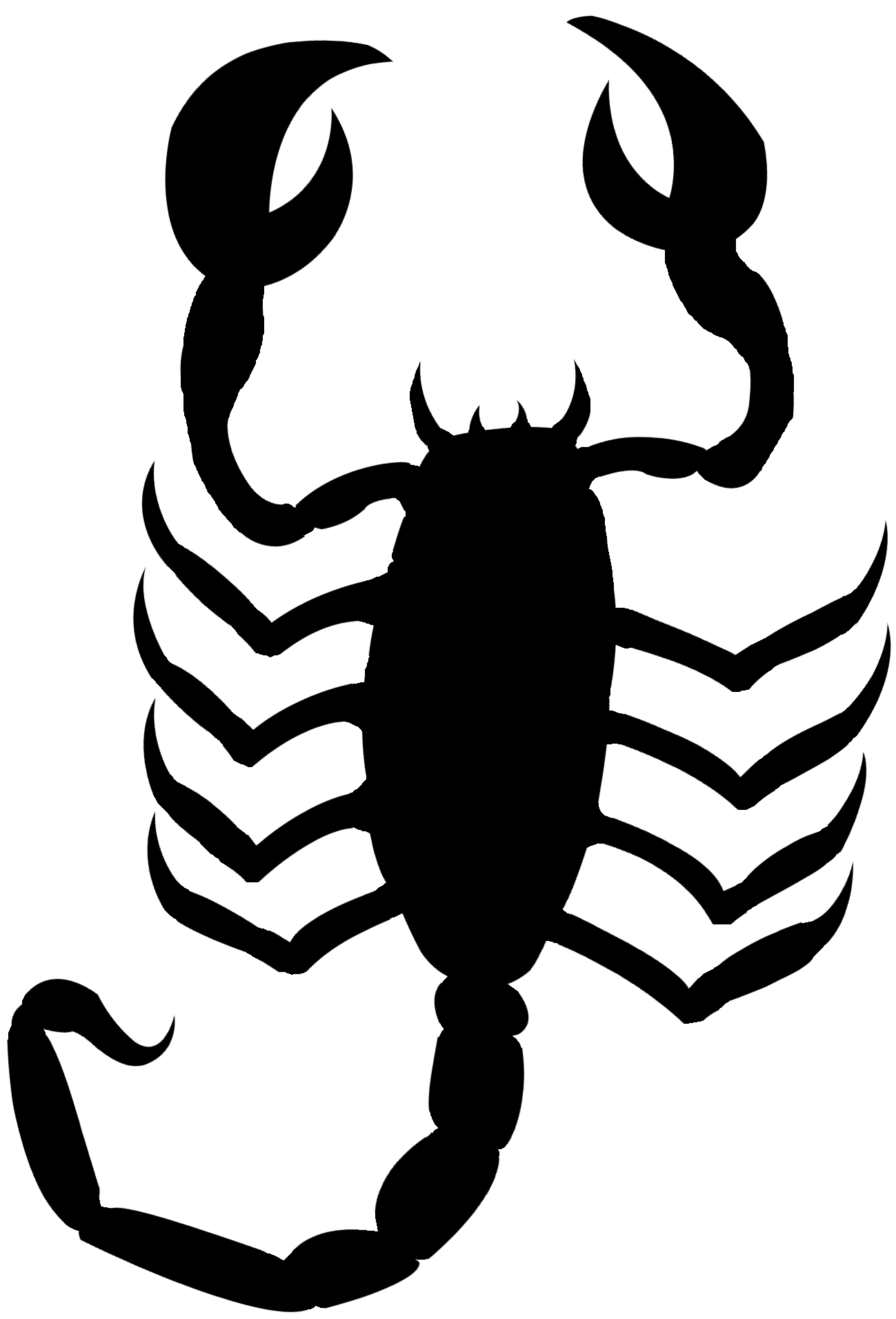 Jpg Black And White Library Bugs Drawing Scorpion - Scorpion Outline Png (1708x2300), Png Download