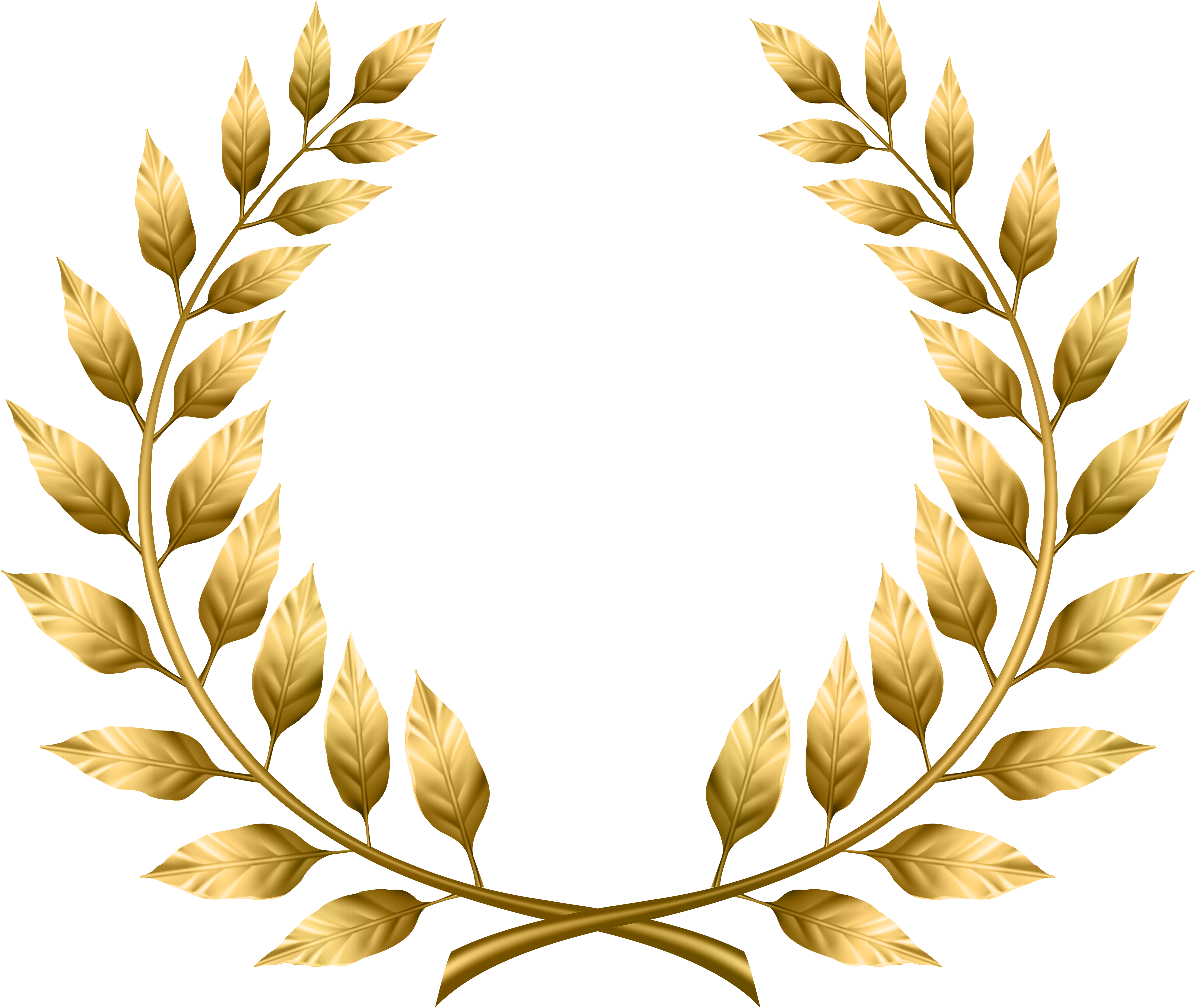 Graphic Transparent Stock Laurel Transparent Png Clip - Transparent Laurel Leaves Png (5000x4244), Png Download