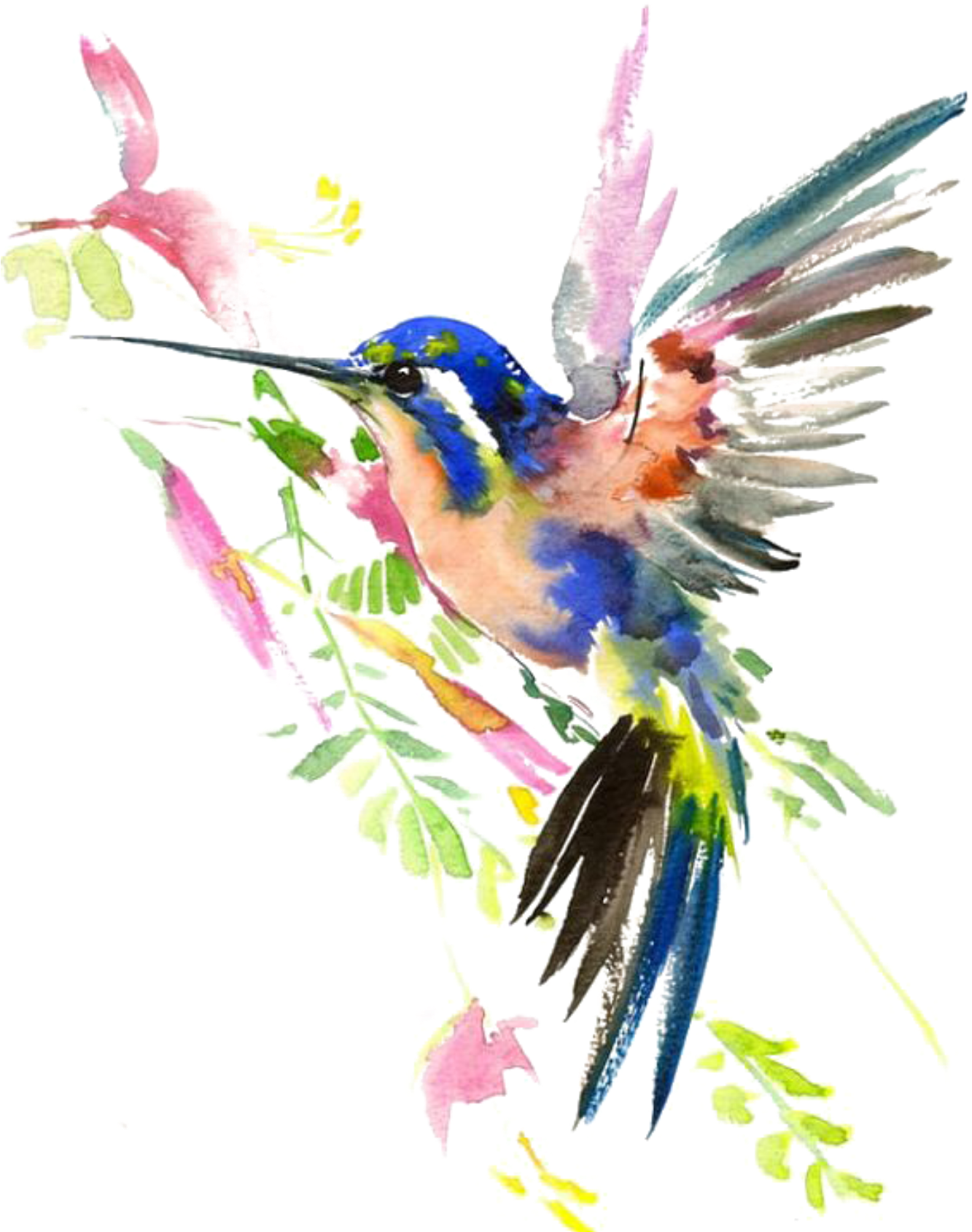 Ftestickers Watercolor Nature Hummingbird - Watercolour Birds (1332x1733), Png Download
