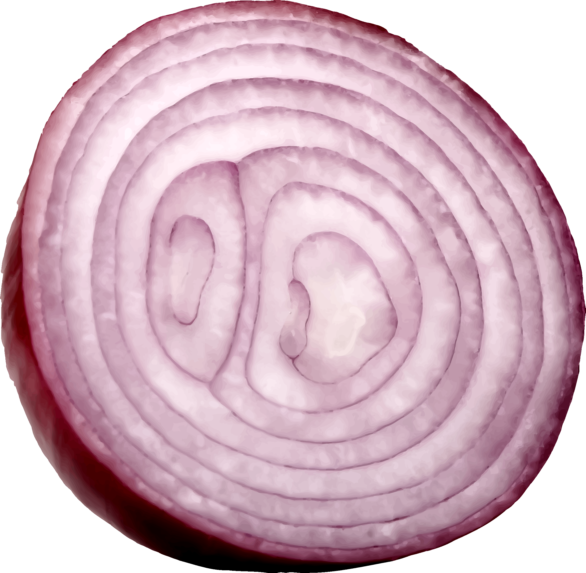 Free Icons Png - Red Onion Cut (2400x2345), Png Download