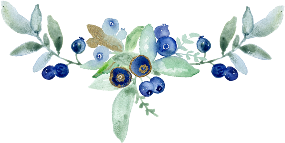 Compo Blueberry (1000x575), Png Download