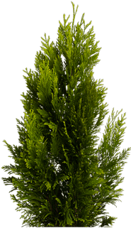 Get Inspired - Egg (400x400), Png Download