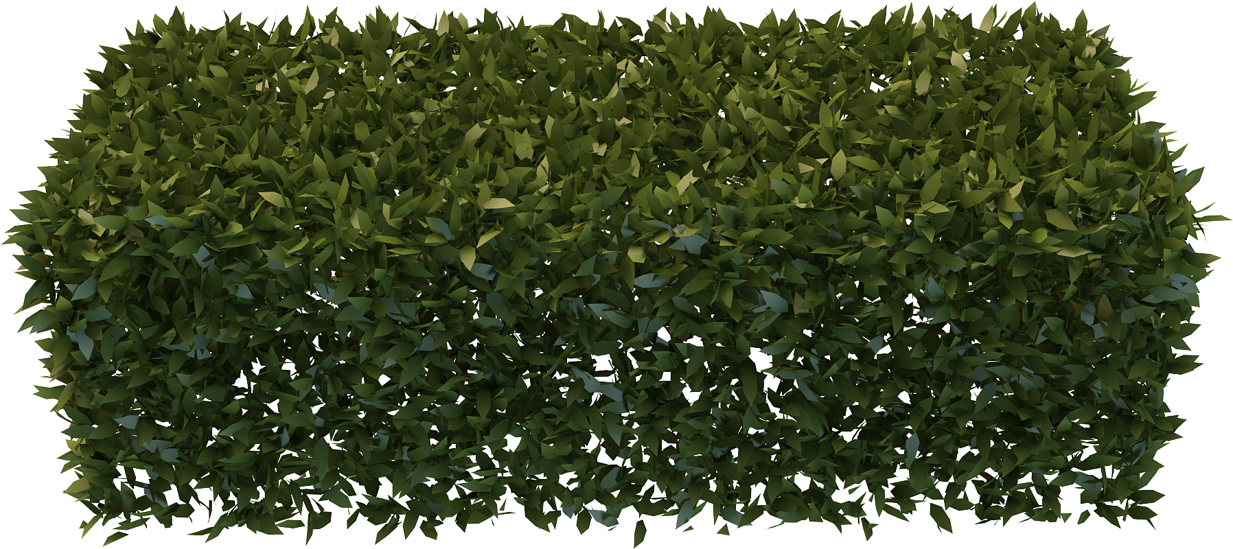 Png Hedges Free - Yew Hedge Png (2000x2000), Png Download