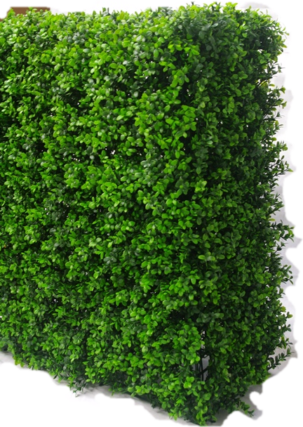 Boxwood Hedge Png - Green Hedge Png (432x608), Png Download