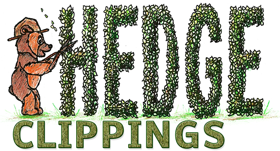We Will Be Posting Up To Date Information About What - A4 - Zero Space (569x317), Png Download