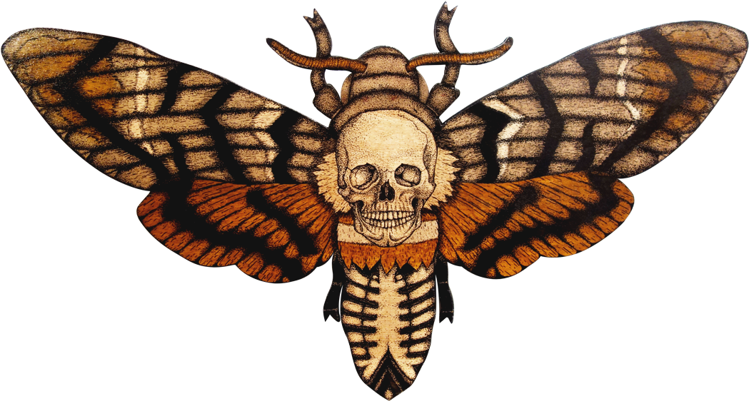 Moth Png Transparent Hd Photo - Bourbon Kid (1100x627), Png Download