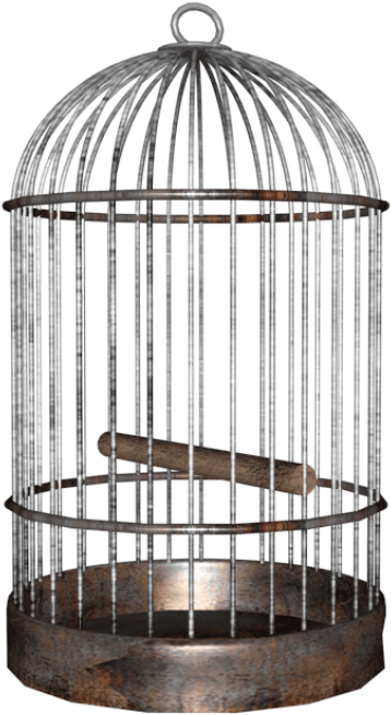 Free Png Bird Cage Png Images Transparent - Bird Cage Png (850x680), Png Download