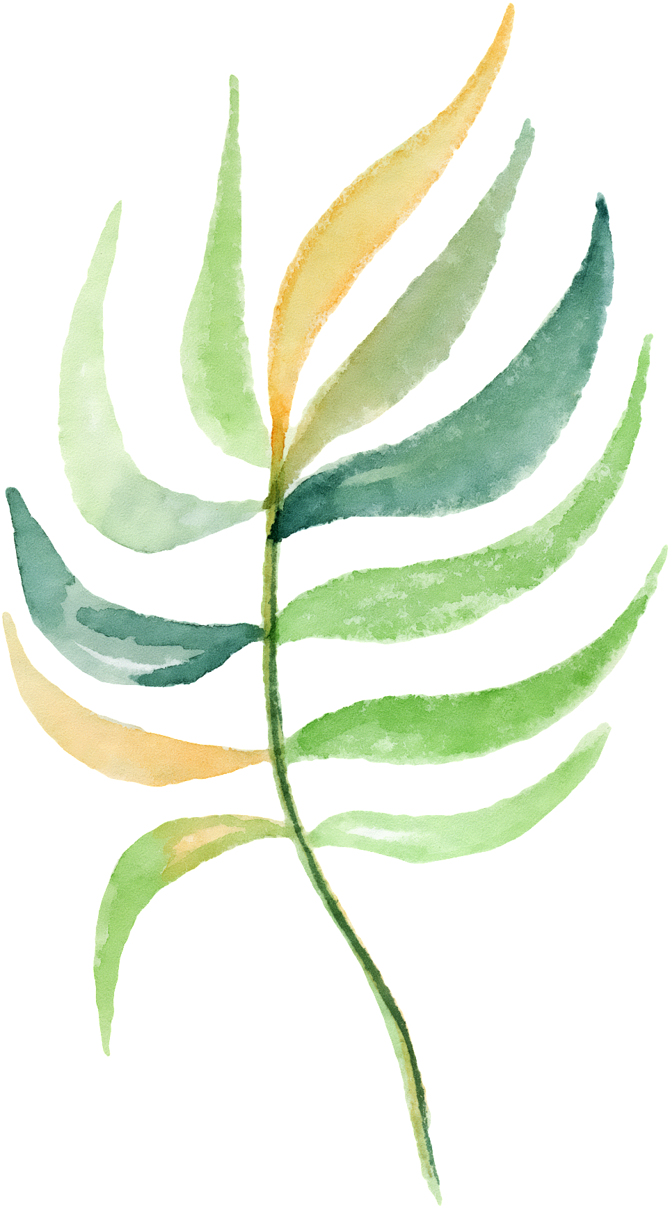 This Graphics Is Hand Painted Five Colors Of Leaves - Portable Network Graphics (1024x1794), Png Download