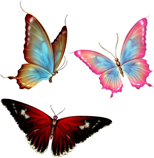 Render Papillons By Scorpionninja Art Nature - Transparent Background Butterfly Png (568x593), Png Download