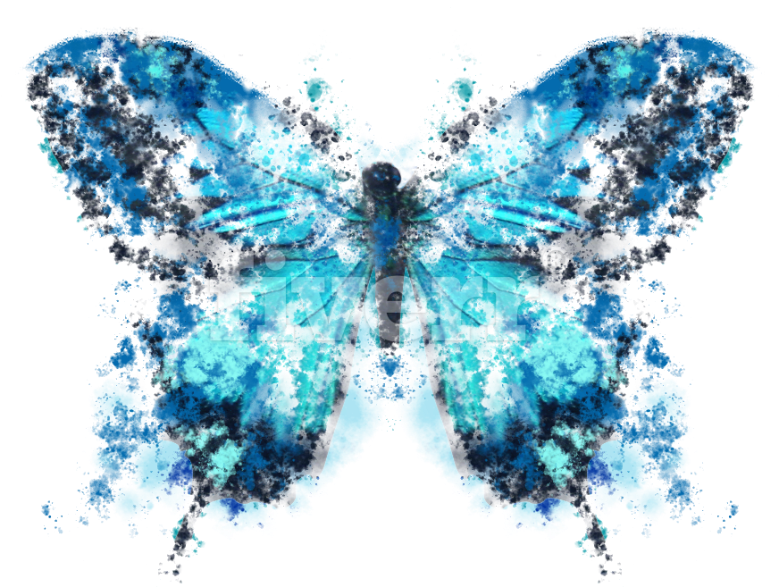 Swallowtail Butterfly (877x668), Png Download