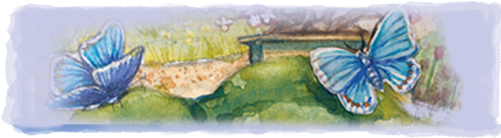 Watercolor Paint (728x250), Png Download