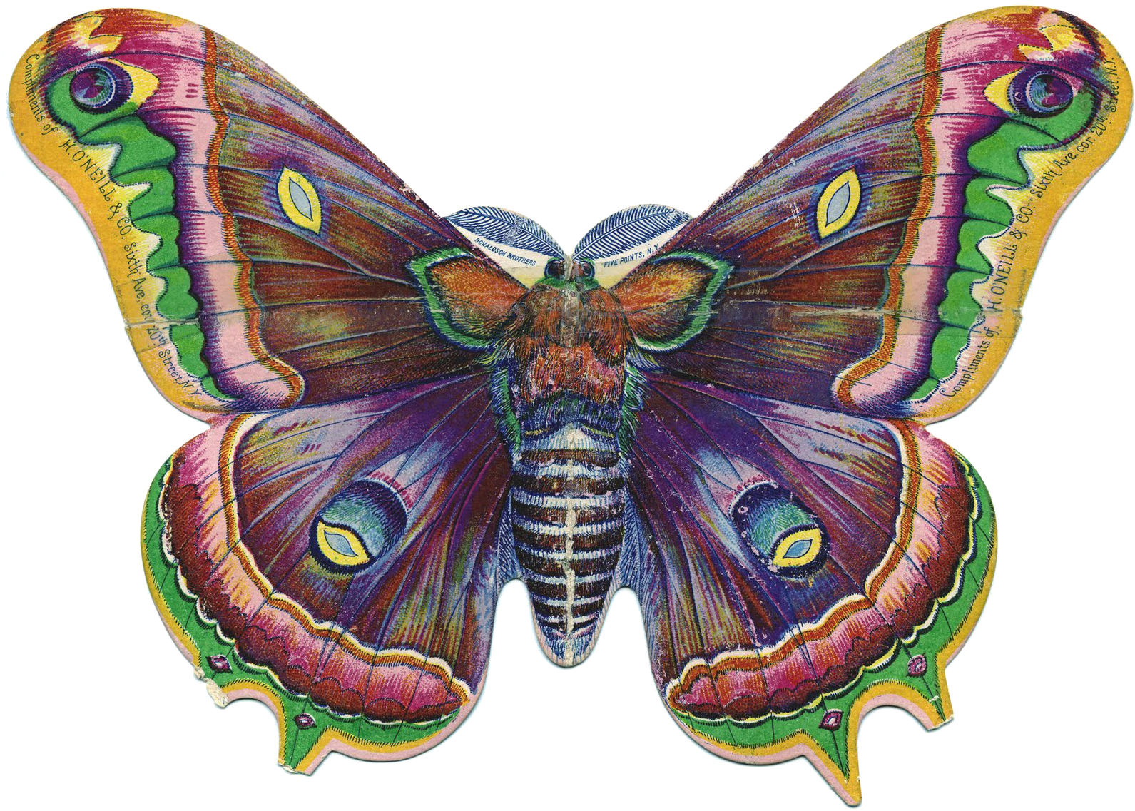 Бабочки - Png - - ♥ Creative Nn - Блог Альбины Рассеиной - Hand Made Cards - K Designs Artist Designed Lovely (1600x1191), Png Download