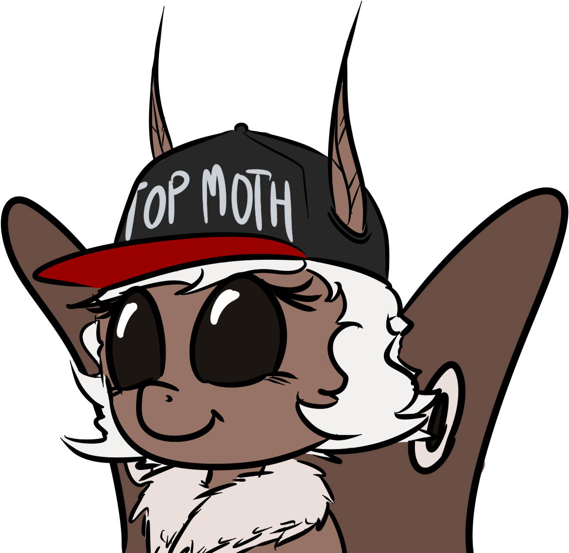 Top Moth - Portable Network Graphics (1318x1165), Png Download