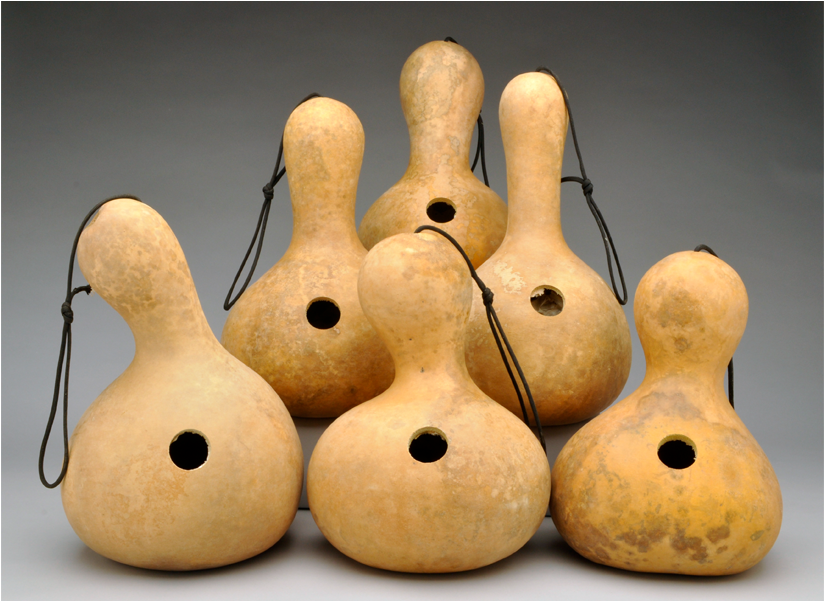 Box Of 6 Birdhouse Gourds, Pre Cut And Craft Ready - Bird House Gourds (1200x600), Png Download