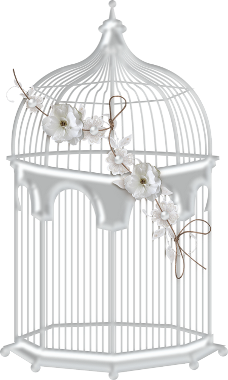 Bird Cage Transparent White (450x750), Png Download
