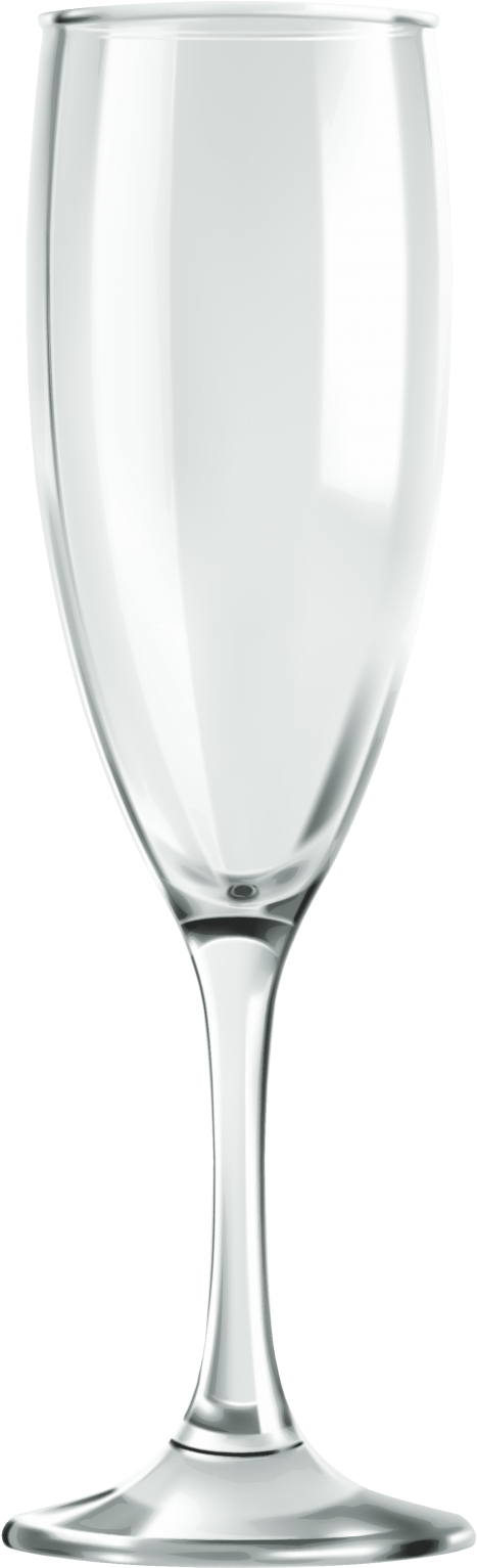 Free Png Champagne Glass Png Images Transparent - Champagne Glass (480x1547), Png Download
