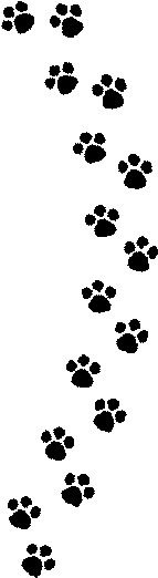 Dog Footprint Png - Love My Corgi Sticker (rectangle) (546x602), Png Download