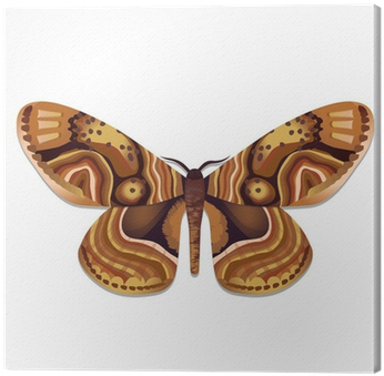Moth (400x400), Png Download
