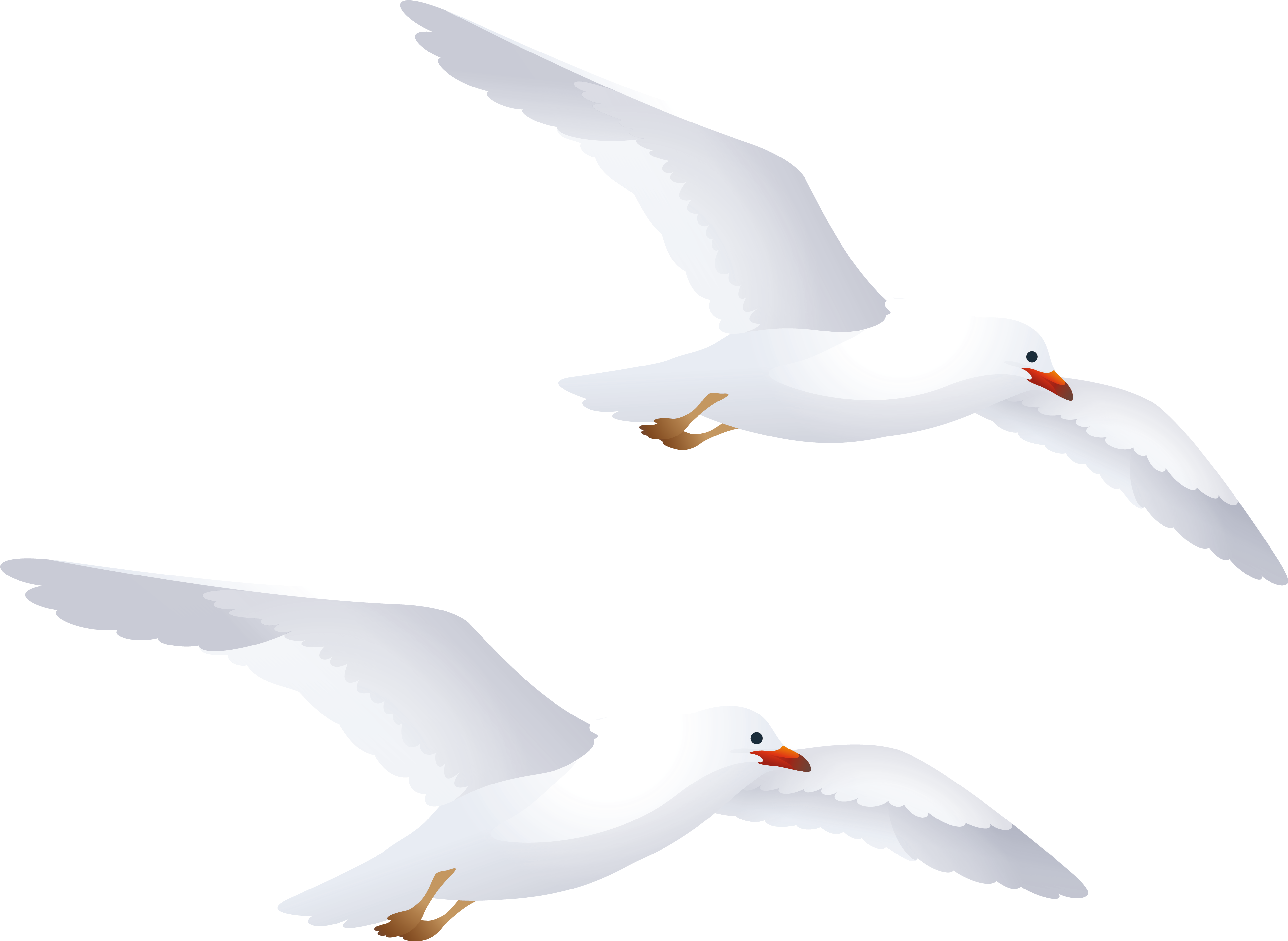 Seagulls Png Clipart - Seagull White Silhouette Png (4121x3159), Png Download