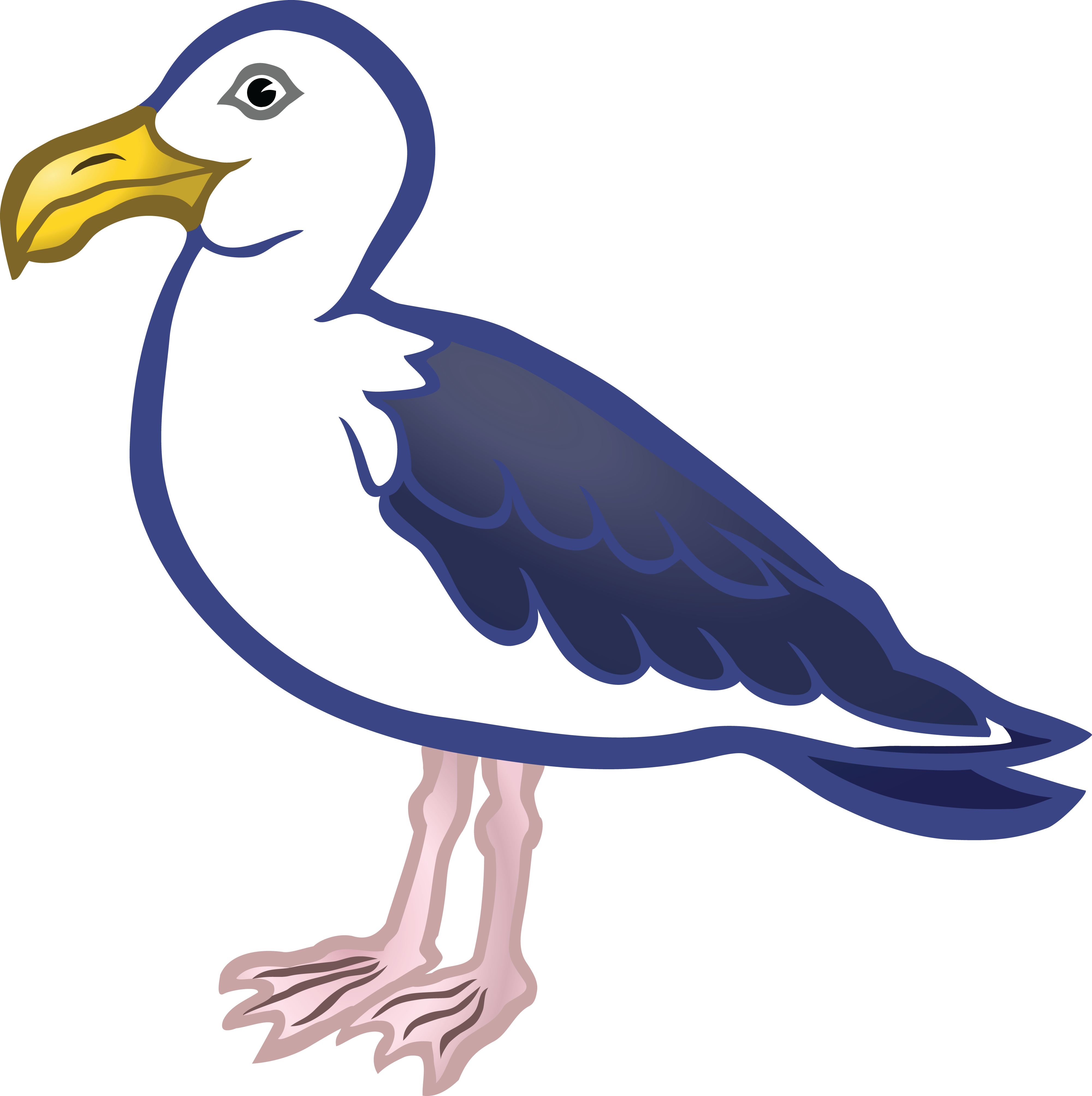 Image - Seagulls Clipart (4000x4012), Png Download
