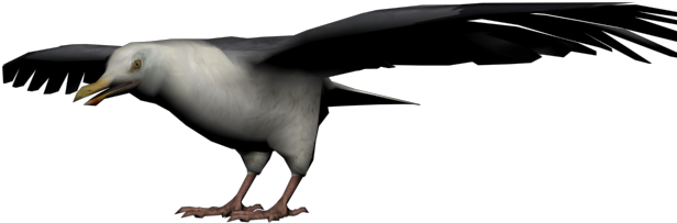 Seagull - Red Dead Redemption Seagull (640x480), Png Download