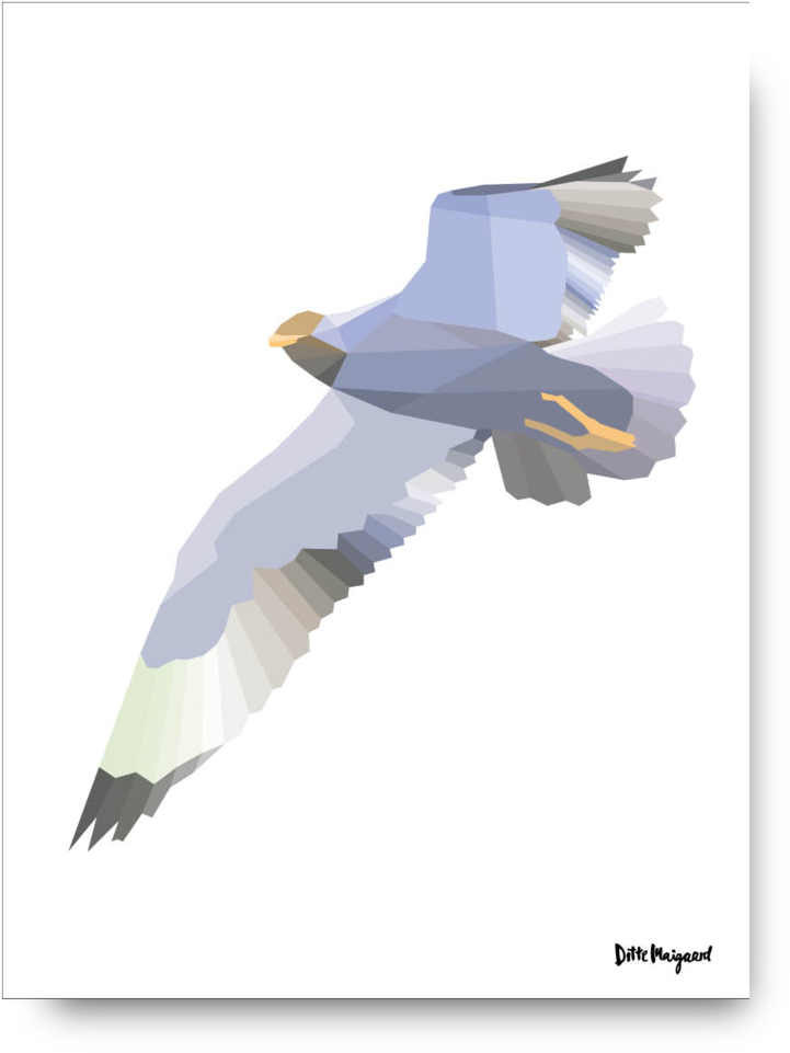 Sir Seagull Poster - Ditte Maigaard Studio (796x1024), Png Download