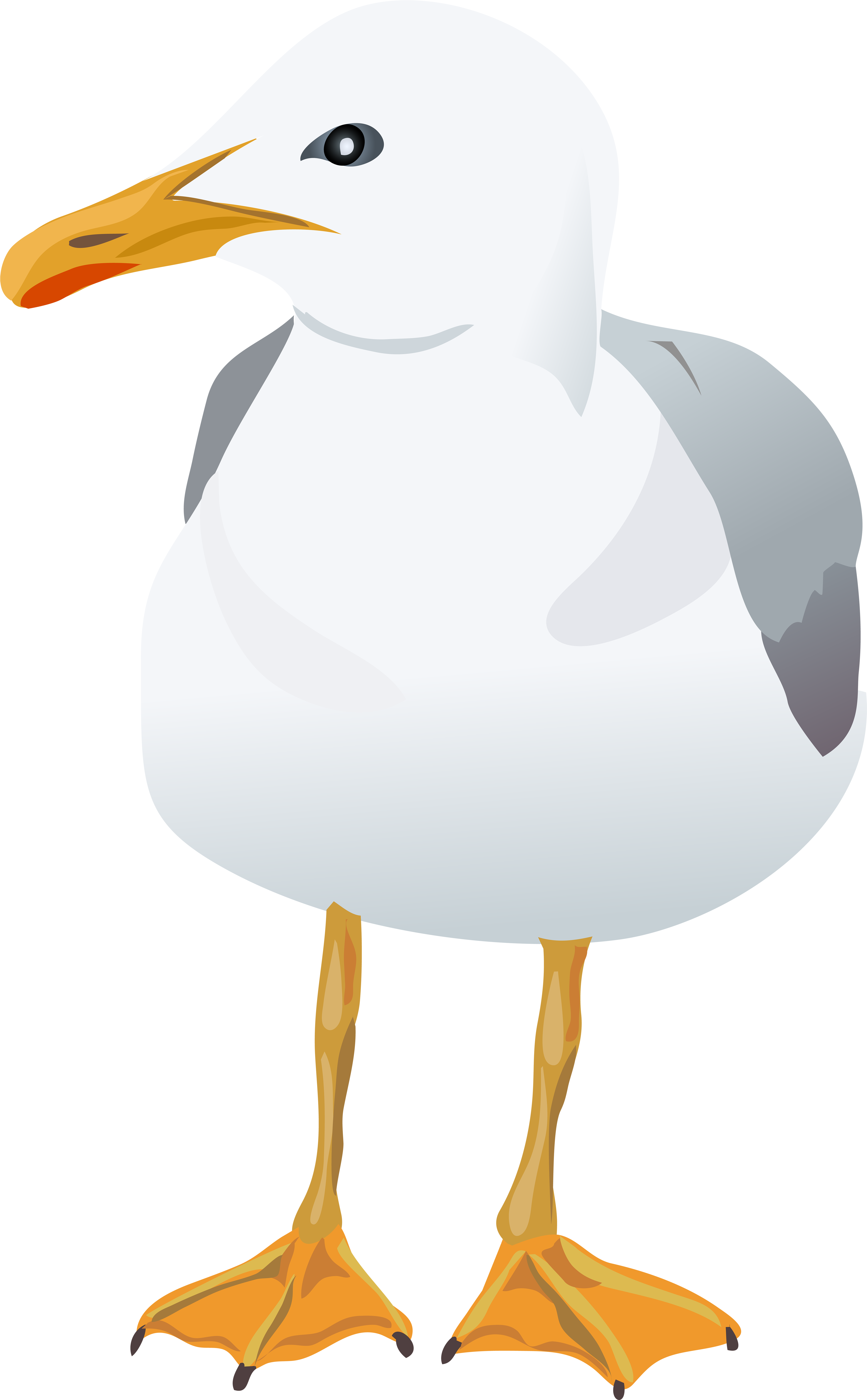 View Full Size - Portable Network Graphics (4953x8000), Png Download