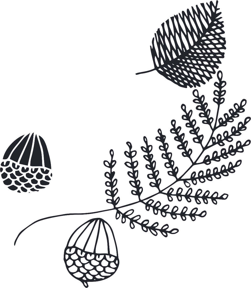 Various Types Of Leaves Cartoon Transparent - Leaf (1024x1174), Png Download