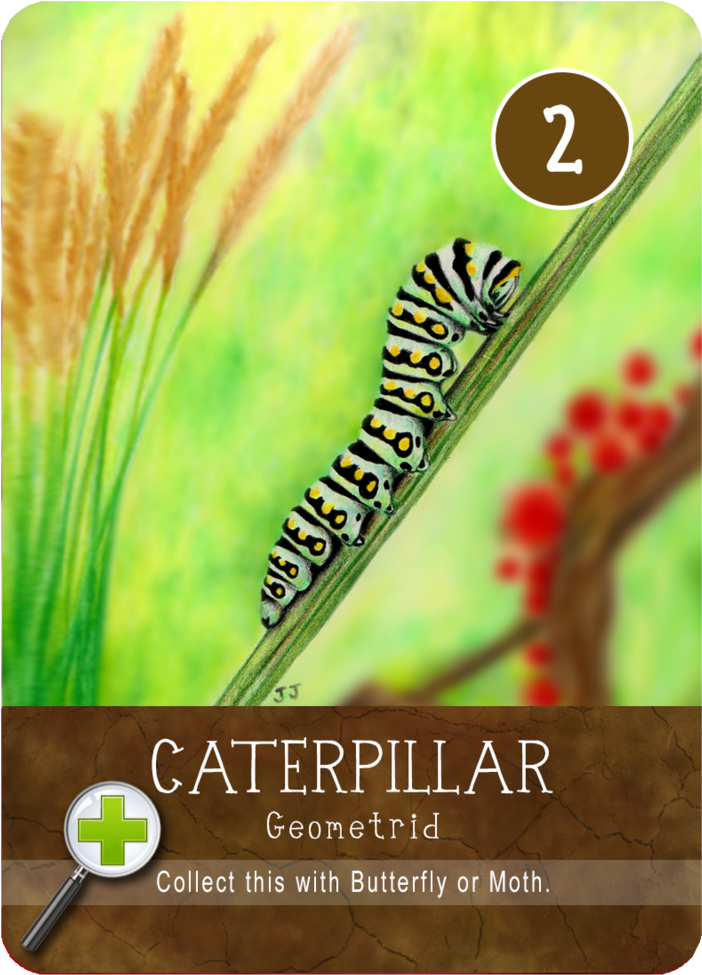 Caterpillar (1000x1000), Png Download