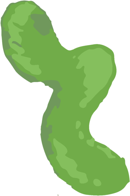 Caterpillar (1000x1294), Png Download