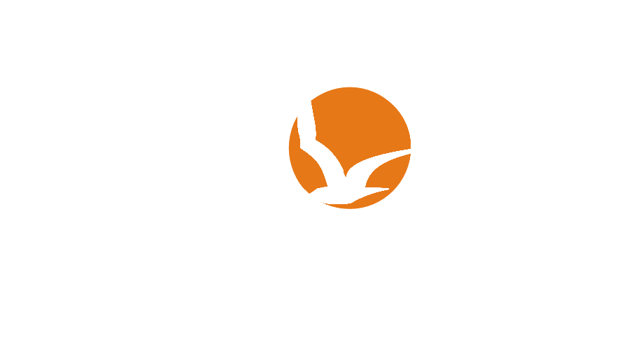 Logo - Seagull Hotel Hurghada Logo (909x482), Png Download