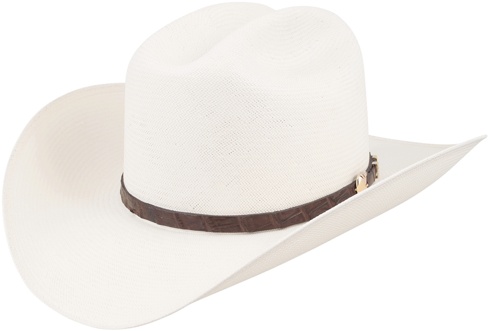 Stetson 1000x Evilla De Oro Straw Hat - Cowboy Hat (1000x698), Png Download