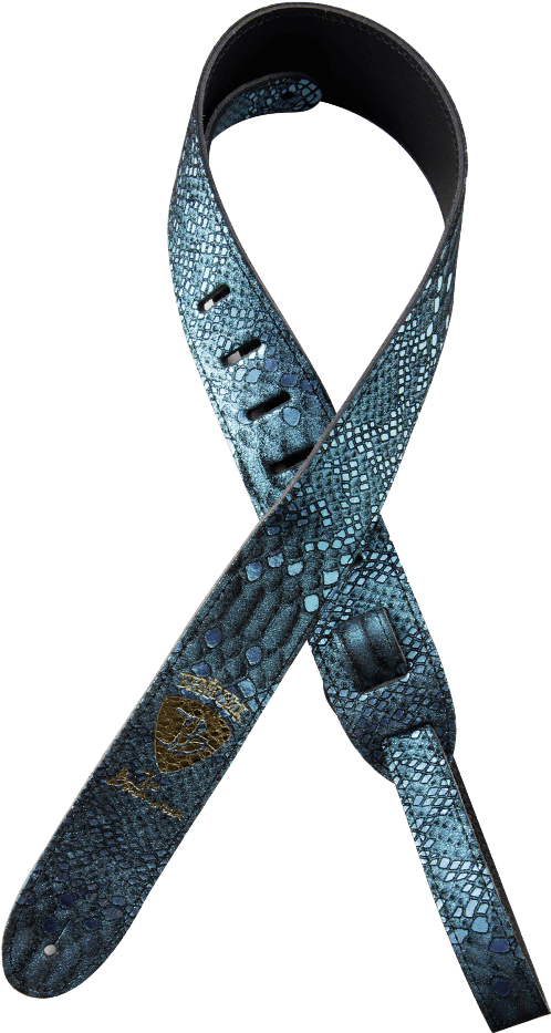 Joe Bonamassa Straps - Electric Guitar (1000x1000), Png Download