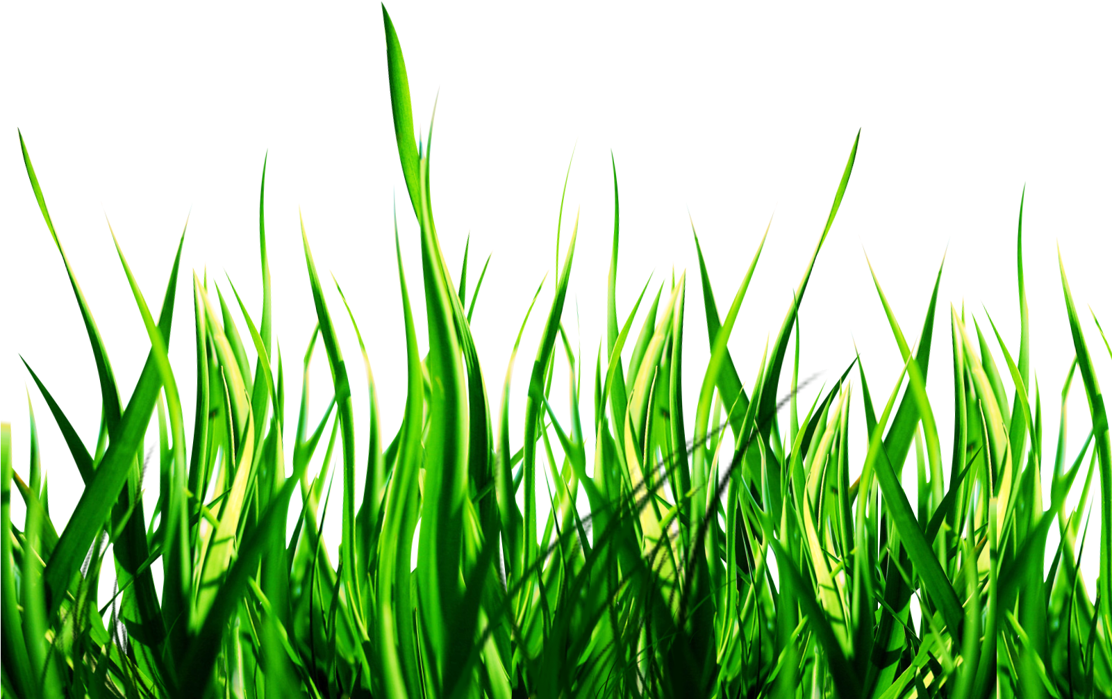 Nature Png Clipart - Nature Png (1600x1200), Png Download