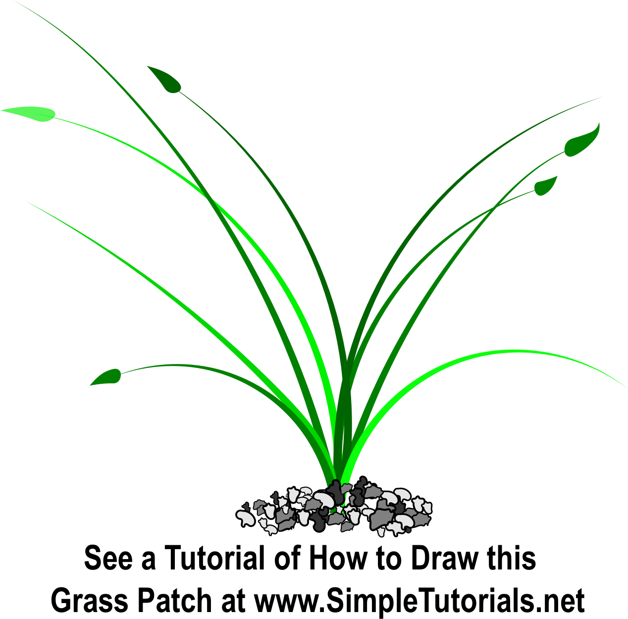 Patch Of Grass (1268x1250), Png Download