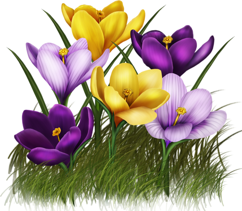 Яндекс - Фотки - Mensajes Biblicos Para Separadores (800x699), Png Download