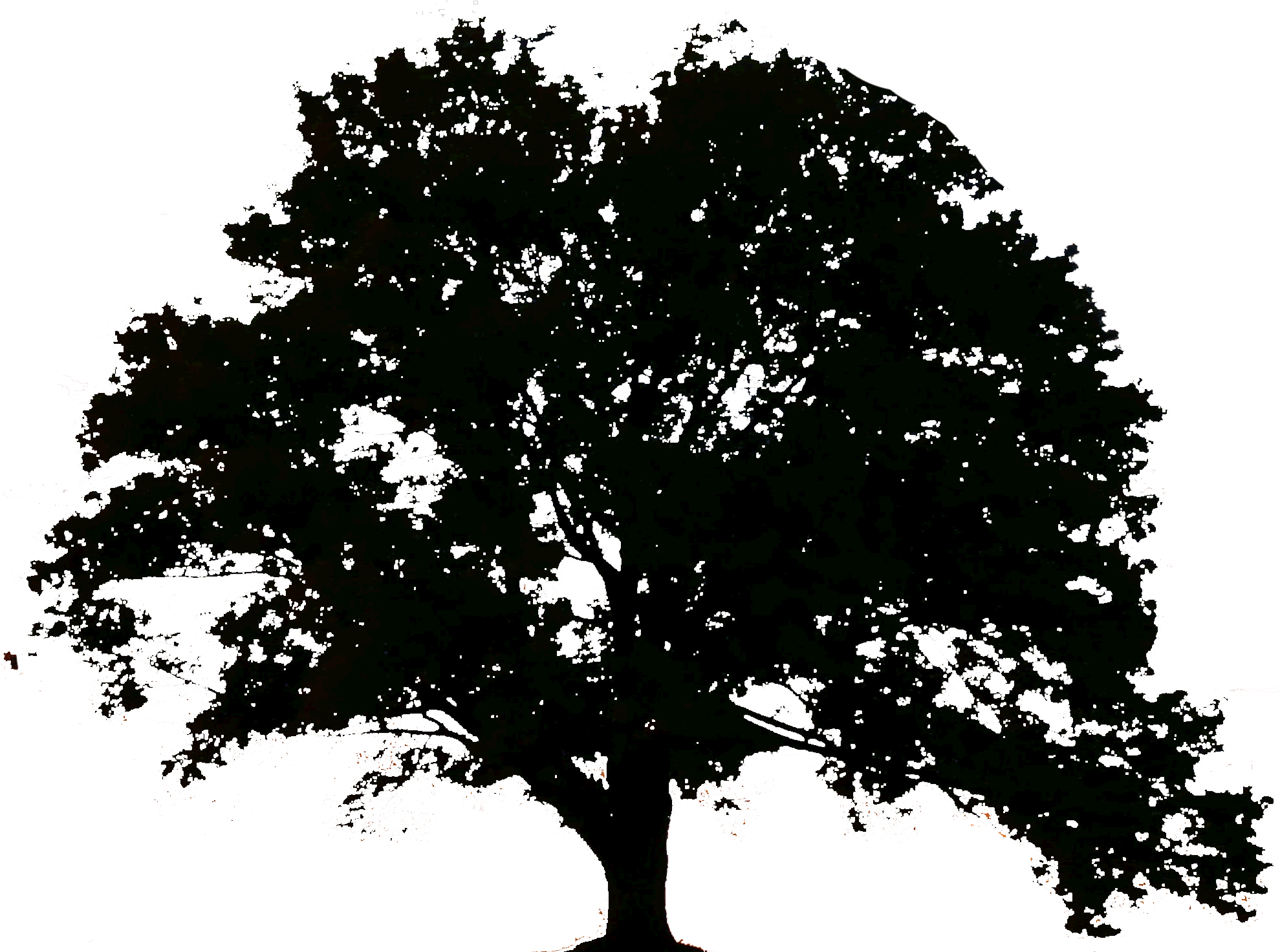 Sombra Arvore Png - La Lune Cendree - Trade Paperback (1987x1475), Png Download