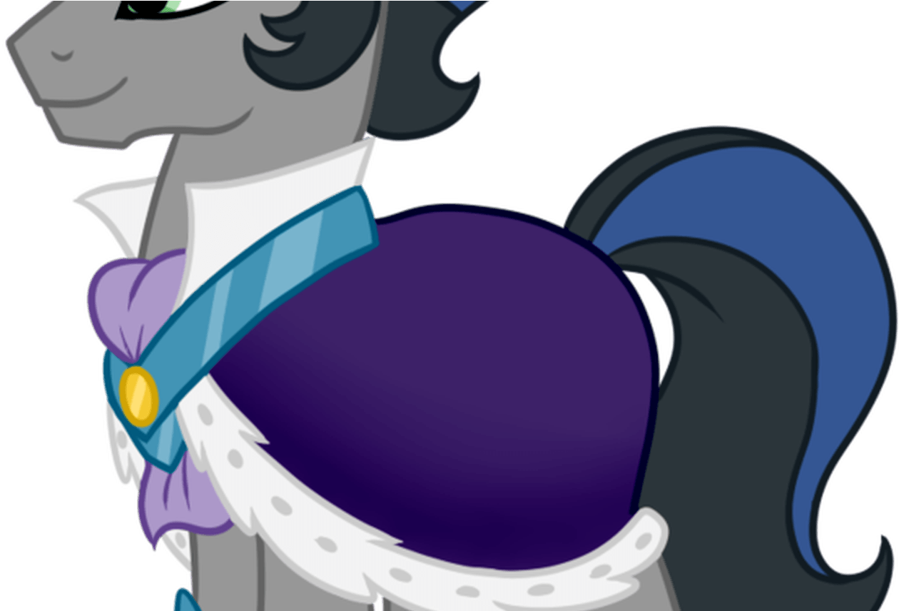 My Little Pony King My Little Pony King